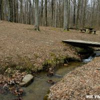 9,940 Acres Monte Sano State Park Rabbit Hunting in Madison, AL images 3