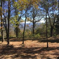 9,940 Acres Monte Sano State Park Rabbit Hunting in Madison, AL images 2