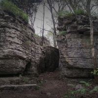 9,940 Acres Monte Sano State Park Rabbit Hunting in Madison, AL images 5
