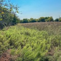 Campbell Ranch images 5