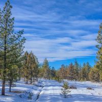 Pilot Butte Ranch images 3