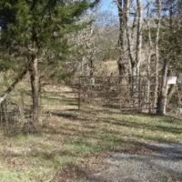 58.08 AC W MTN VIEWS CREEK EASY ACCESS BUILDING SITES PASTURE NO RESTRICTIONS images 2