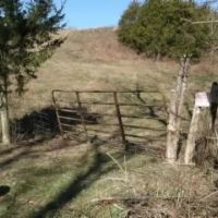 58.08 AC W MTN VIEWS CREEK EASY ACCESS BUILDING SITES PASTURE NO RESTRICTIONS images 3
