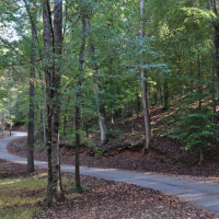 100 Acres Paul M. Grist State Park for Squirrel hunting in Dallas, AL images 3
