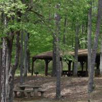100 Acres Paul M. Grist State Park for Squirrel hunting in Dallas, AL images 6
