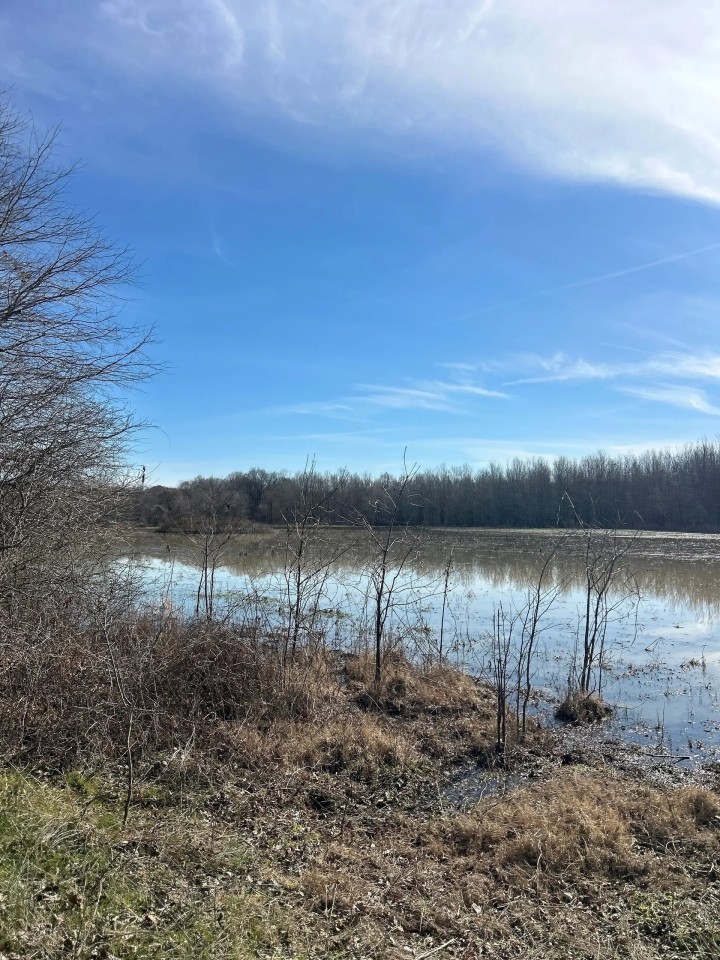 One Equity Share at Backwater Brake in Leflore County MS featured image