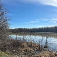 One Equity Share at Backwater Brake in Leflore County MS