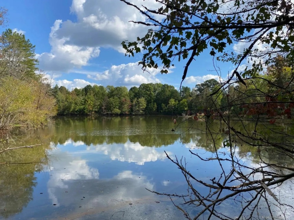 -172-Acres-Beautiful Farm Pond with Industrial Potential featured image