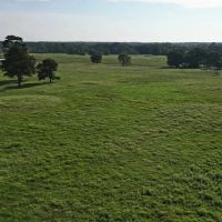1000 Acres East Texas Cattle Ranch Bowie County TX images 5