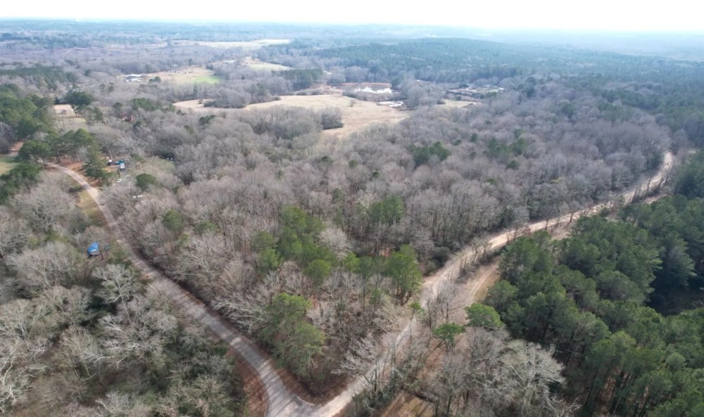 60.5 Acres in Leake County in Carthage MS featured image
