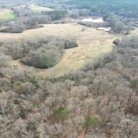 60.5 Acres in Leake County in Carthage MS images 3