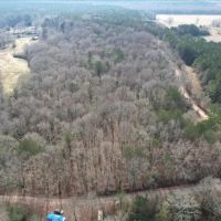 60.5 Acres in Leake County in Carthage MS images 5
