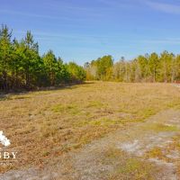 Meyer Farm images 3
