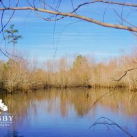 Meyer Farm images 4