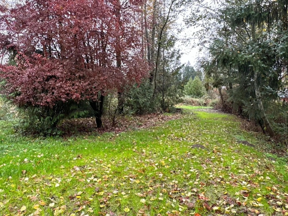 5 Acres in Renton Maple Valley Private Estate Potential with Mt. Rainier Views Meadows and Room for Horses featured image