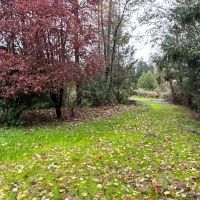 5 Acres in Renton Maple Valley Private Estate Potential with Mt. Rainier Views Meadows and Room for Horses