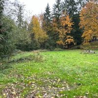 5 Acres in Renton Maple Valley Private Estate Potential with Mt. Rainier Views Meadows and Room for Horses images 2