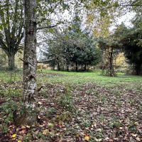 5 Acres in Renton Maple Valley Private Estate Potential with Mt. Rainier Views Meadows and Room for Horses images 3