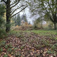 5 Acres in Renton Maple Valley Private Estate Potential with Mt. Rainier Views Meadows and Room for Horses images 4