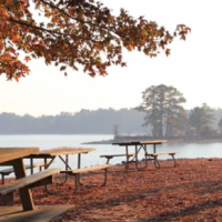 Wind Creek State Park 1,445 Acres of Rabbit Hunting in Tallapoosa, AL images 2