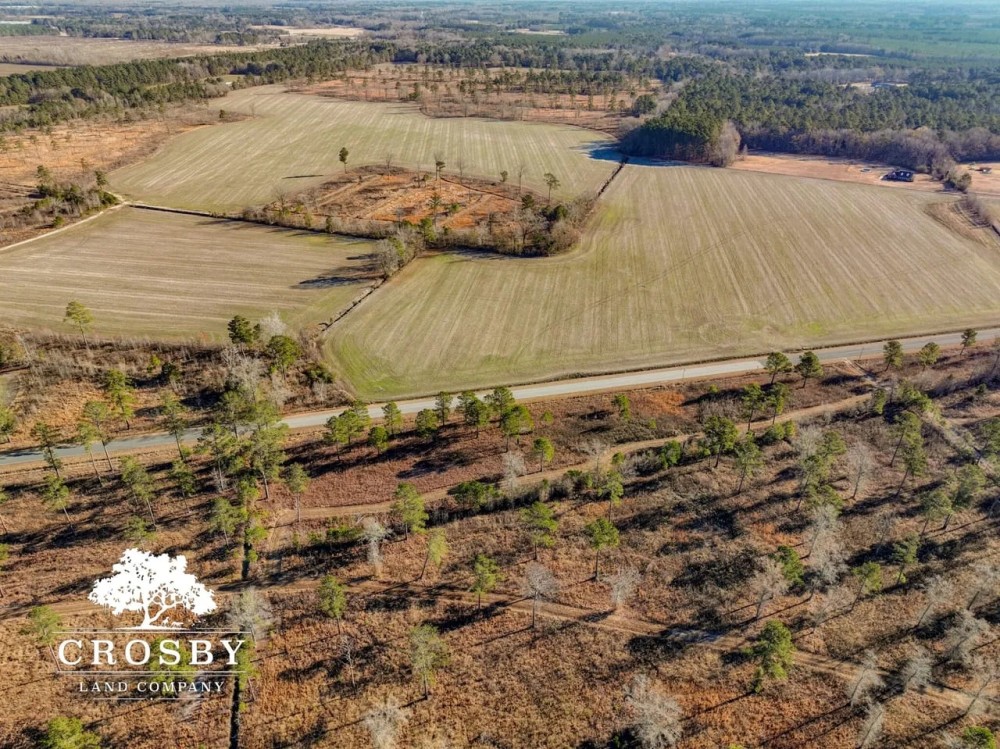 Mims Road Farm featured image