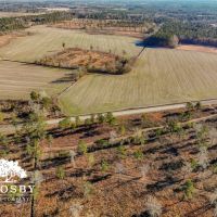 Mims Road Farm