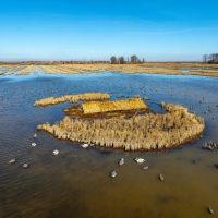 513 - Row Crop Duck Goose Hunting Property Cross County Arkansas