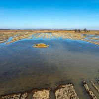 513 - Row Crop Duck Goose Hunting Property Cross County Arkansas images 4