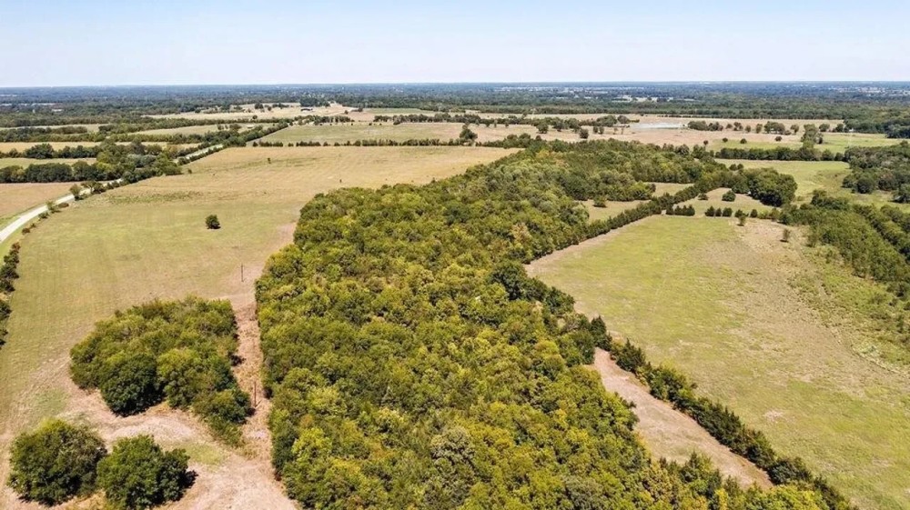 000 Farm Road 905 Pattonville TX 75468 featured image