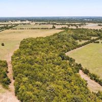 000 Farm Road 905 Pattonville TX 75468