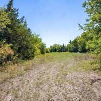 000 Farm Road 905 Pattonville TX 75468 images 2