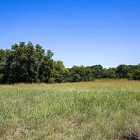 000 Farm Road 905 Pattonville TX 75468 images 3
