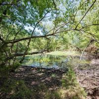 000 Farm Road 905 Pattonville TX 75468 images 4