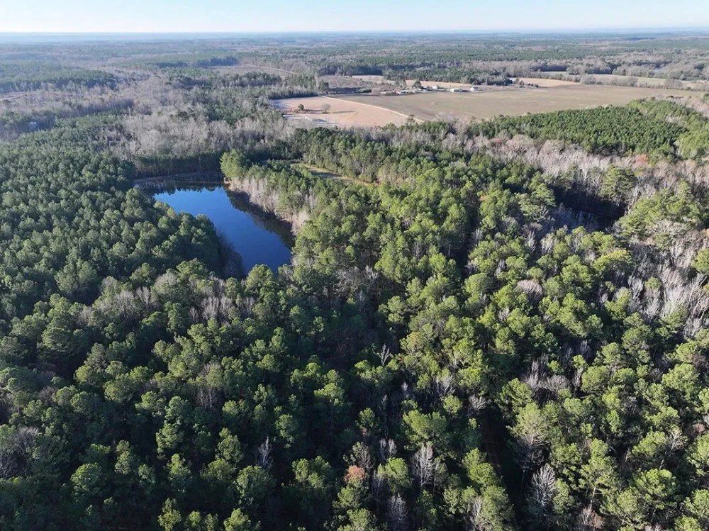 33.21 Acres in Pickens County AL featured image