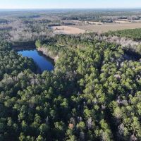 33.21 Acres in Pickens County AL
