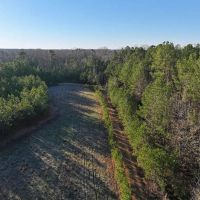 33.21 Acres in Pickens County AL images 2
