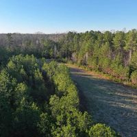 33.21 Acres in Pickens County AL images 4