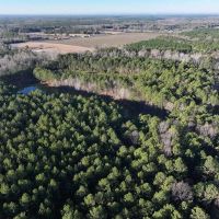 33.21 Acres in Pickens County AL images 5