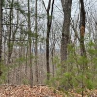 REDUCED 15 Acres with Mountain Views on Whitmire Church Road images 2