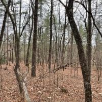 REDUCED 15 Acres with Mountain Views on Whitmire Church Road images 3