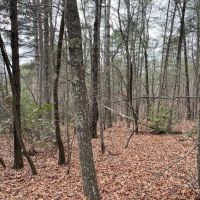 REDUCED 15 Acres with Mountain Views on Whitmire Church Road images 5