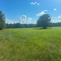 Beaver Dam Creek images 2