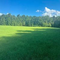 Beaver Dam Creek images 5
