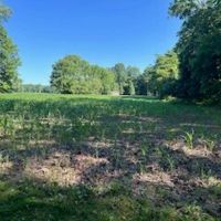 58 Acres - 3000 Sq Ft Home For Sale in Clay County IN images 4