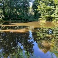 58 Acres - 3000 Sq Ft Home For Sale in Clay County IN images 5