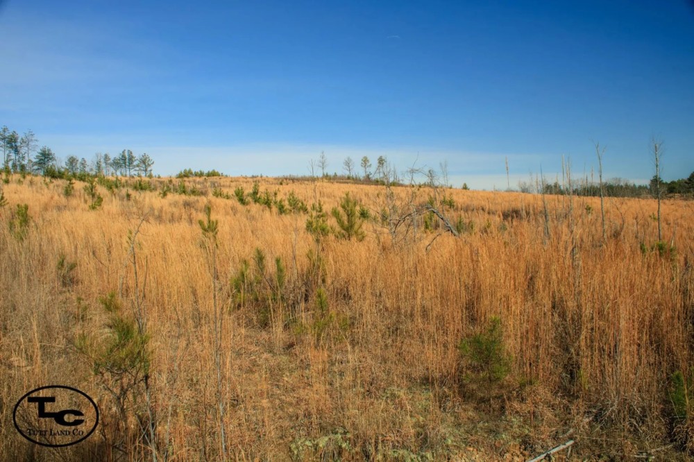 21 - acres - Chester Co - PT-06 featured image