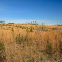 21 - acres - Chester Co - PT-06