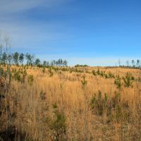 21 - acres - Chester Co - PT-06 images 2
