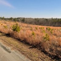 21 - acres - Chester Co - PT-06 images 3