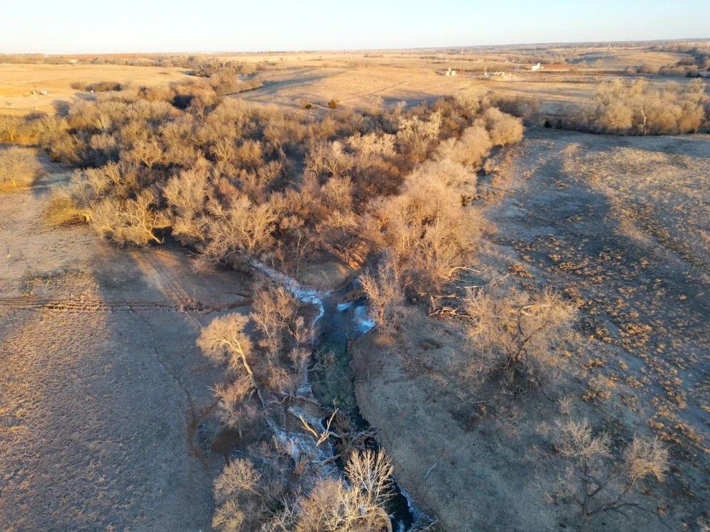 Buffalo Creek Ranch featured image